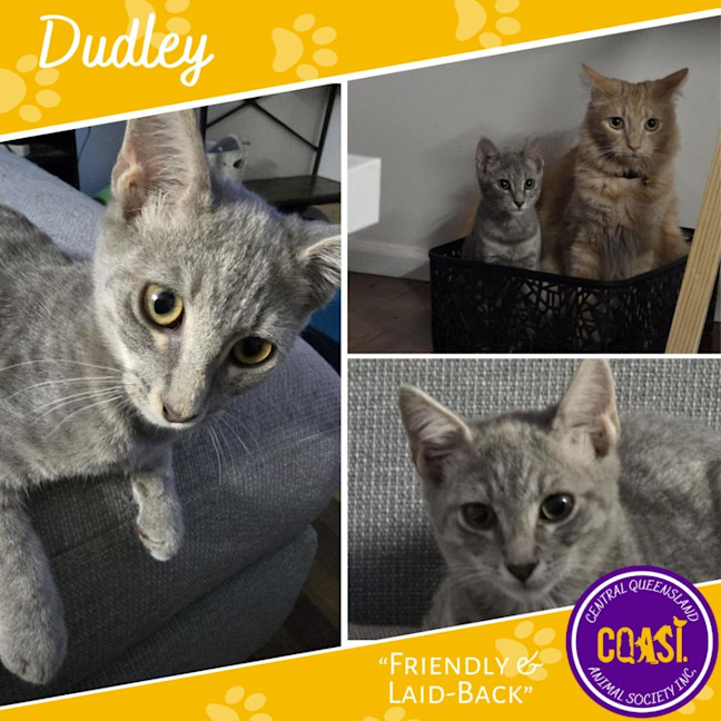 Photo of Dudley