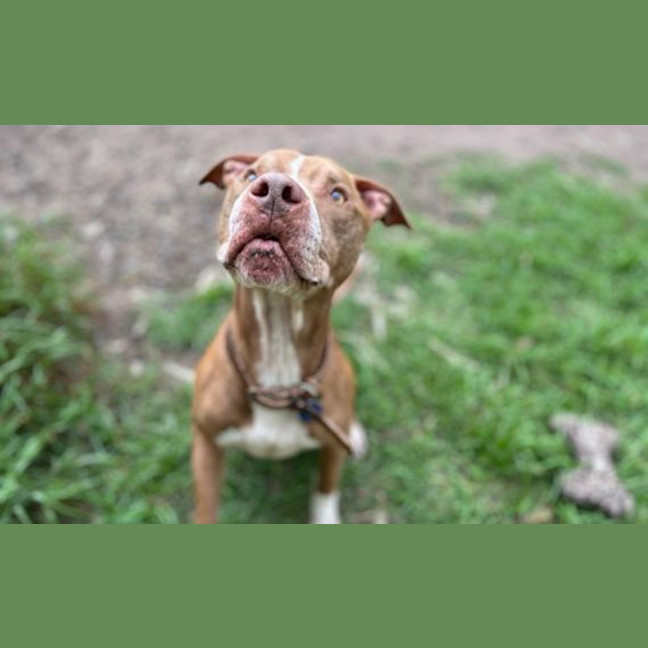 Photo of Charlie