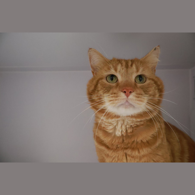 Photo of Ed