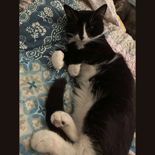 Photo of Max 🩵