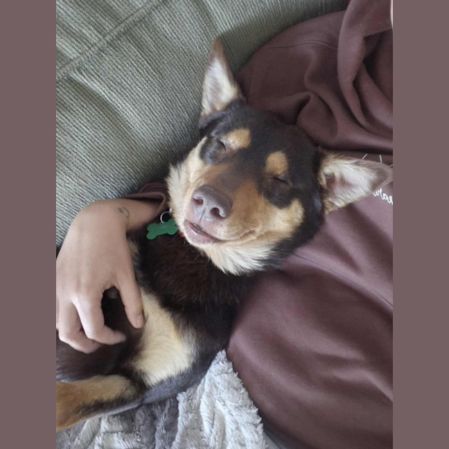 Photo of Arthur 