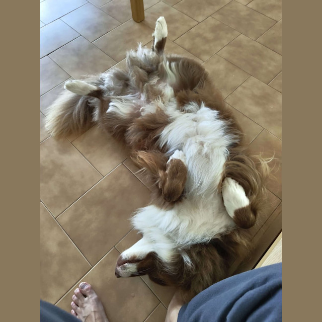 Photo of Mars Bar Slice