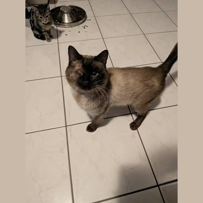 Photo of Ivan