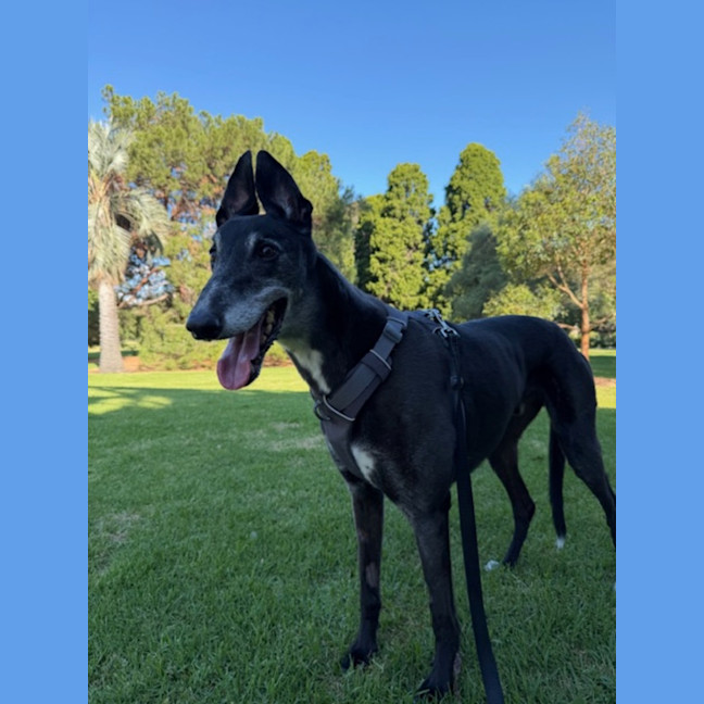 Photo of George