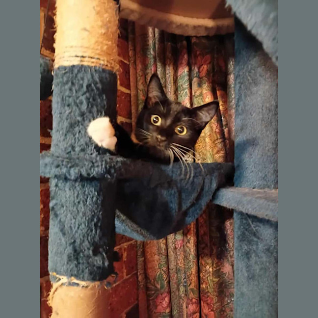 Photo of Lotus & Sage