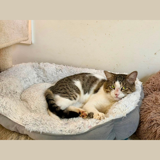 Photo of Hermes