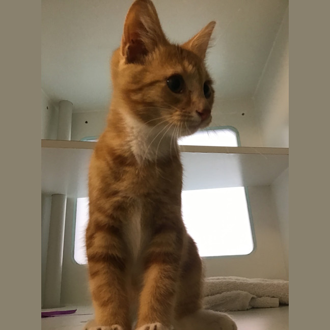 Photo of Leroy