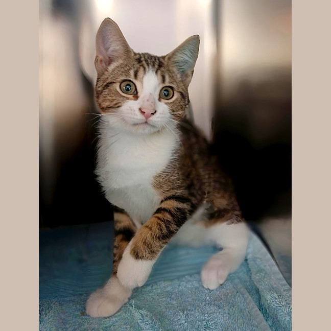 Photo of Max