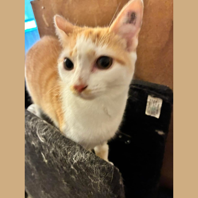 Photo of Dorothy (Dotty)