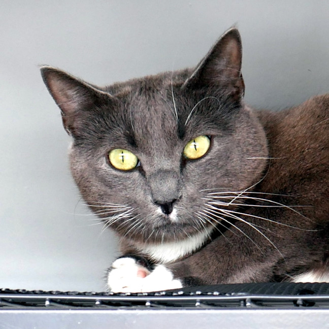 Photo of Tuna Rsta012365