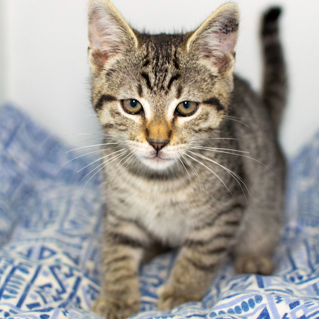 Photo of Bodie