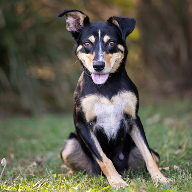 Photo of Kelsey (Twinkle)