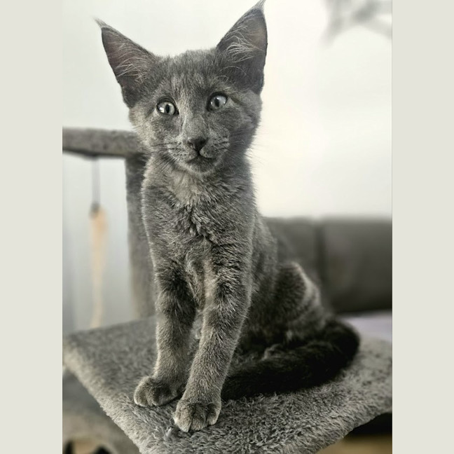 Photo of Asher