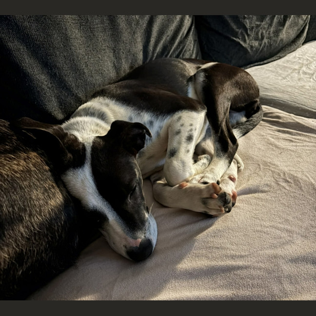 Photo of Jessie