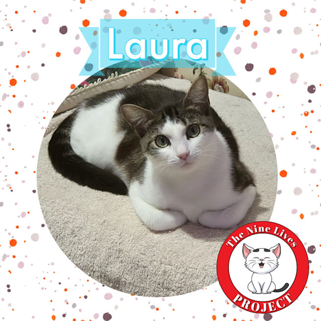Photo of Laura * 9 Lives Project Rescue*