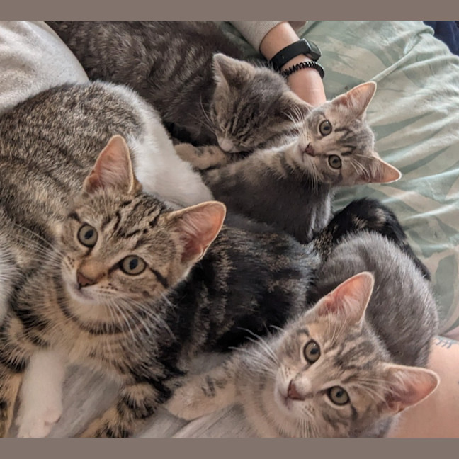 Photo of Maya Scotty