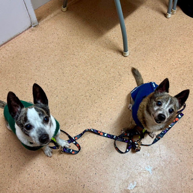 Photo of Sunny And Pj 