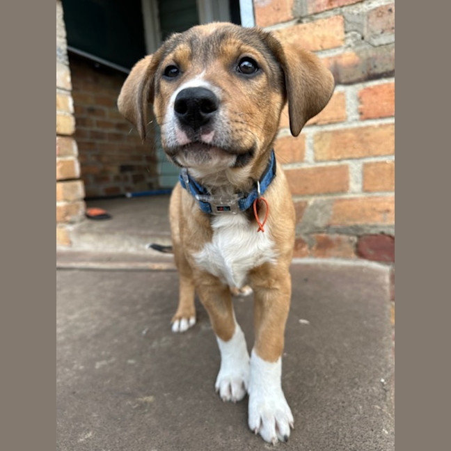 Photo of Fry