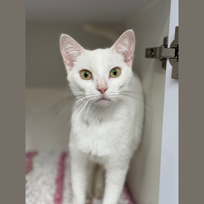 Photo of Storm