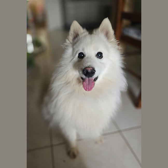 Photo of Noah