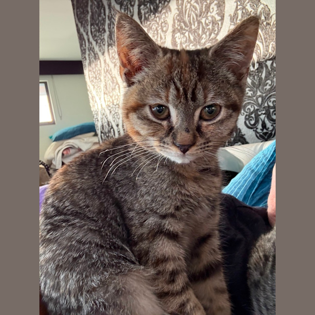 Photo of Bubbles
