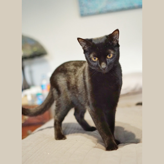 Photo of Klaus