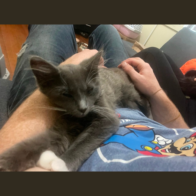 Photo of Llewelyn (Lou)