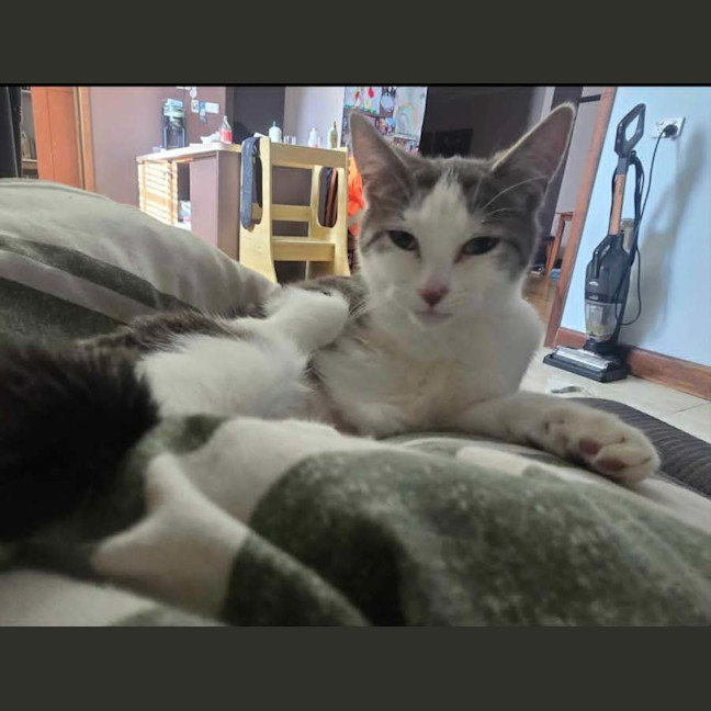 Photo of Jessie