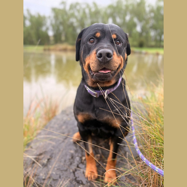 Photo of Milly