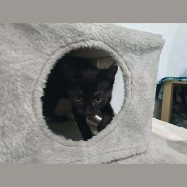 Photo of Libby