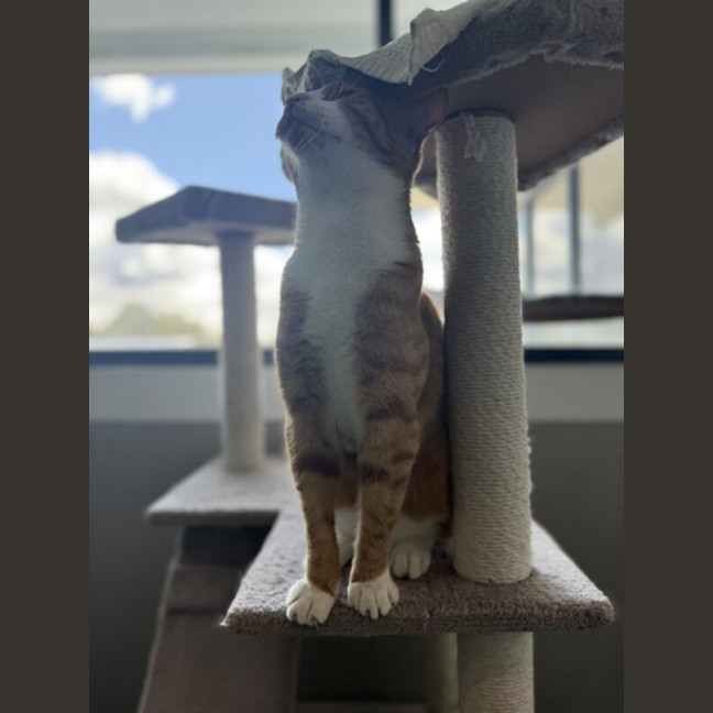 Photo of Owen