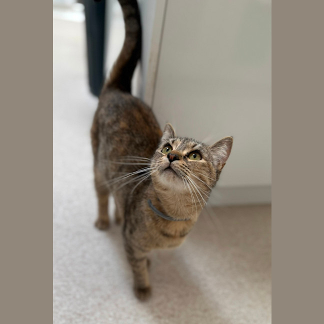 Photo of Sally Field (9004)