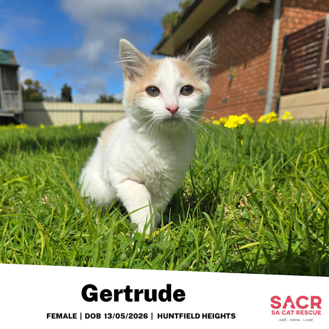 Photo of Gertrude