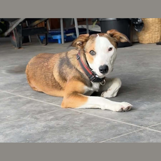 Photo of Turbo