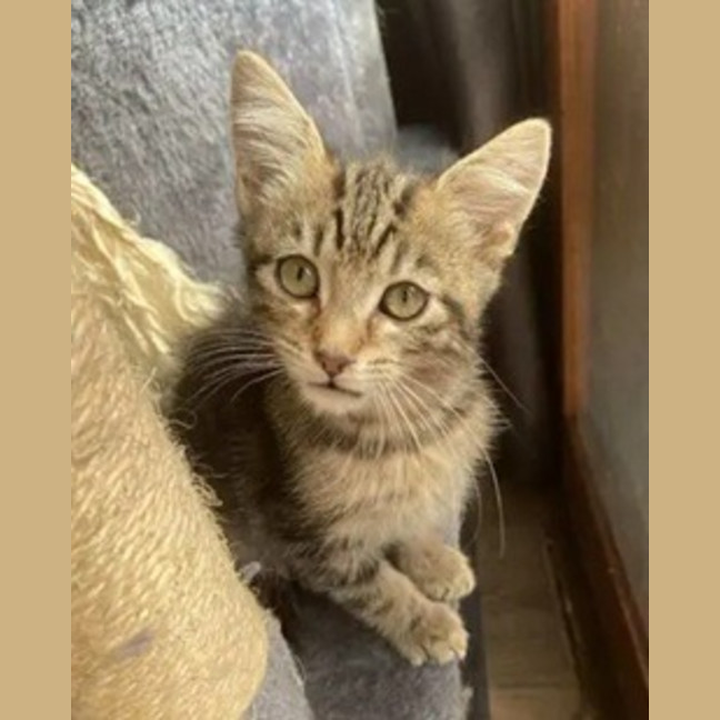 Photo of Winslow