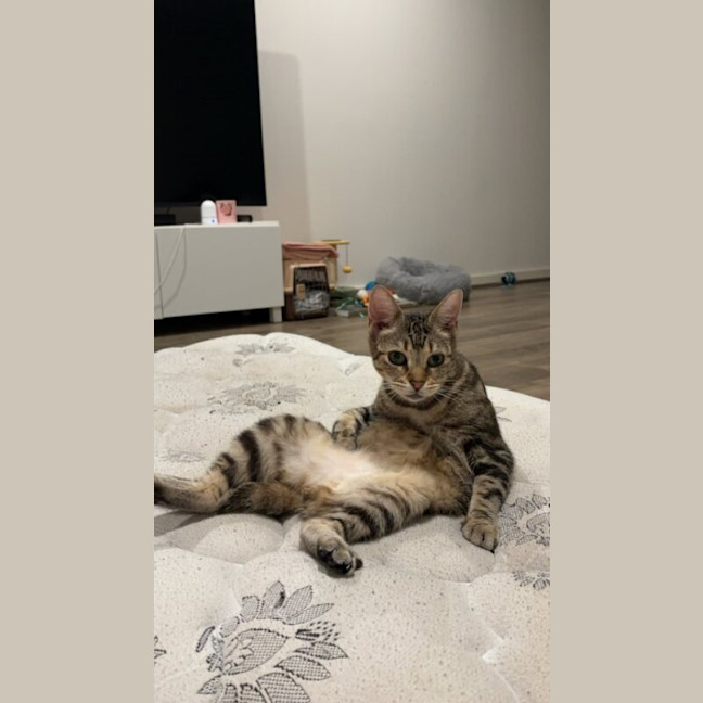Photo of Zena