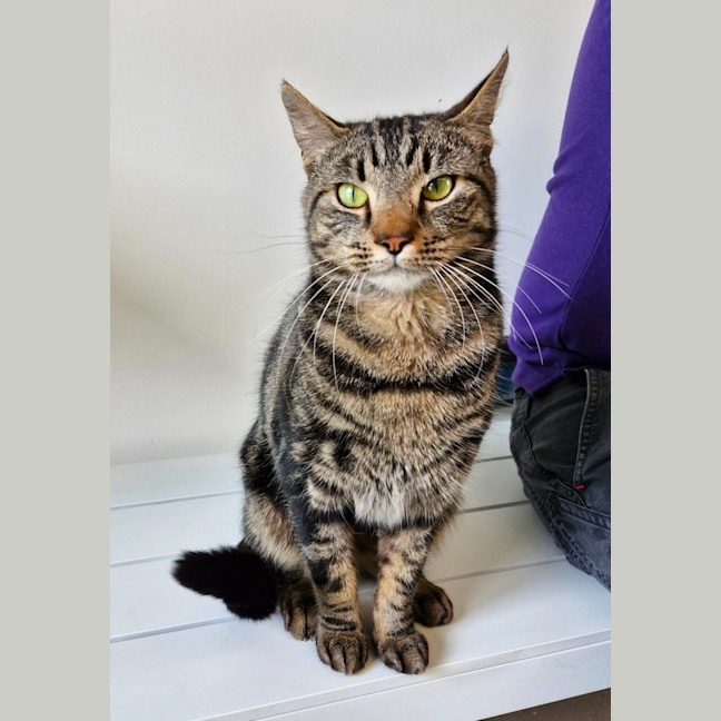 Photo of C1347 Jebadiah