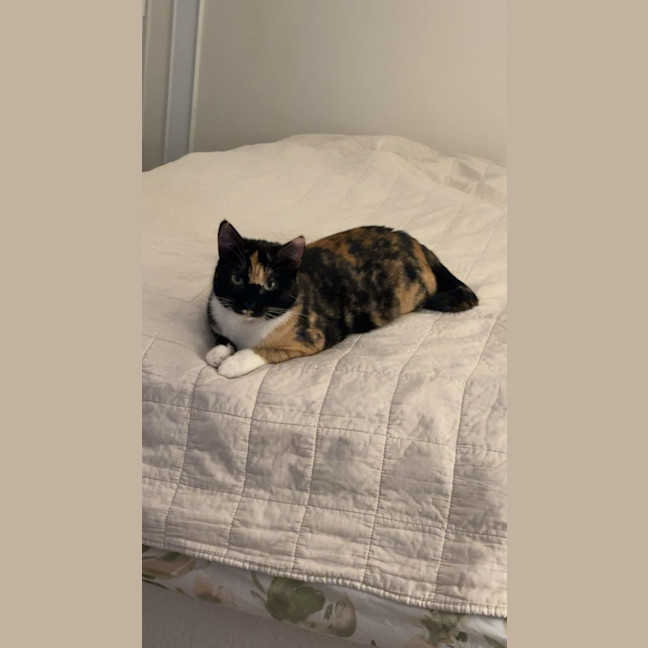 Photo of Rosemary
