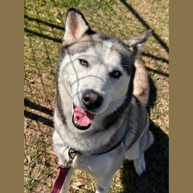 Photo of Freya