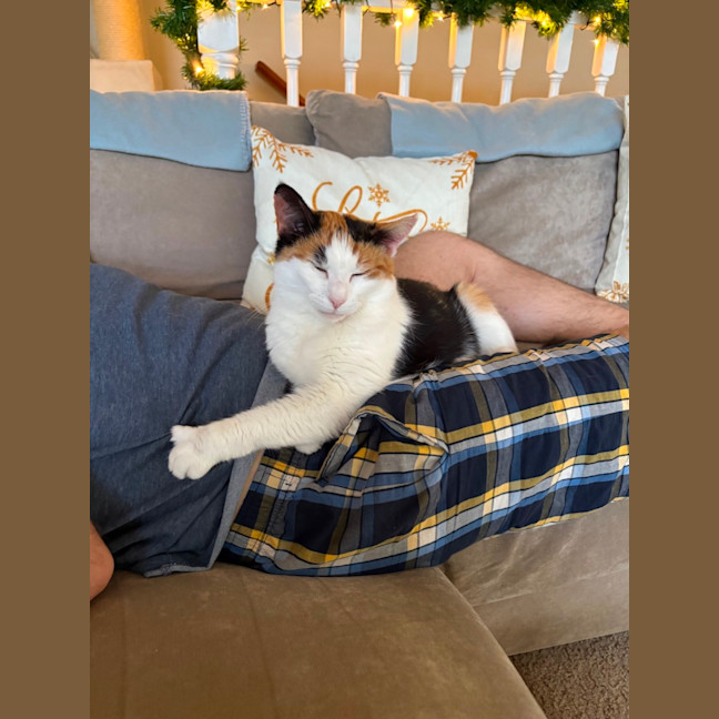 Photo of Pussty   Your Real Life Cat Woman 