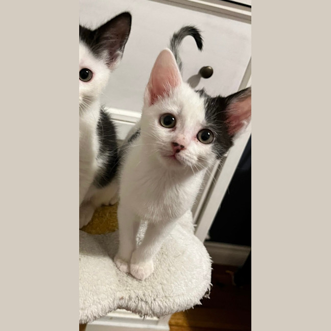 Photo of Adelina & Flora