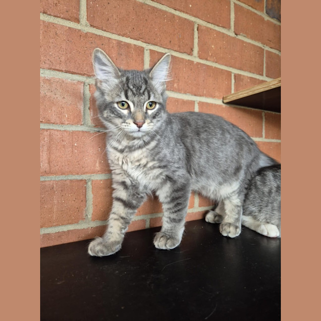 Photo of Winter! ❄️