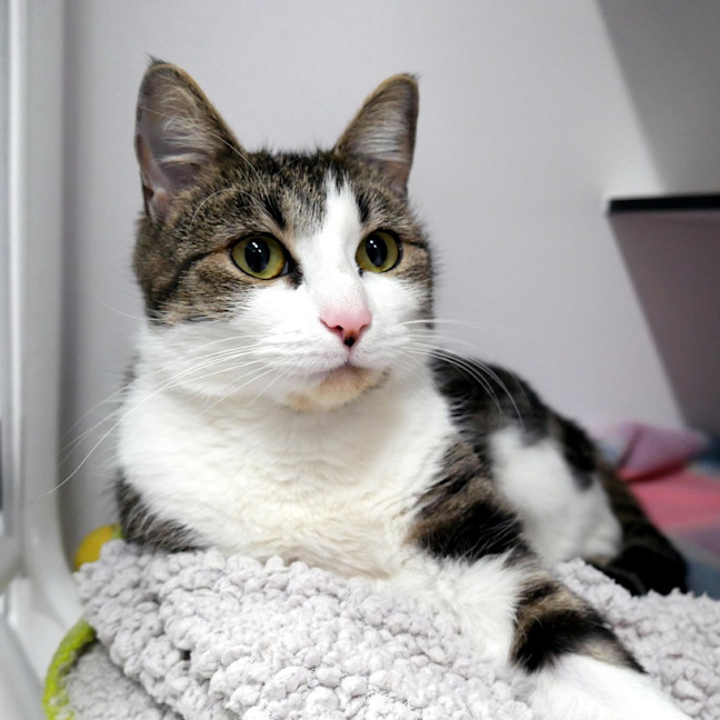 Photo of Kitty Sta015529