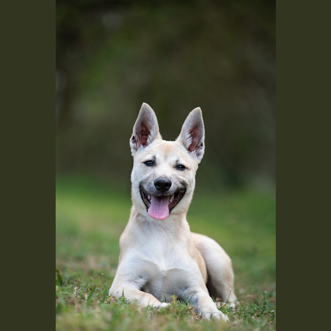 Photo of Missy