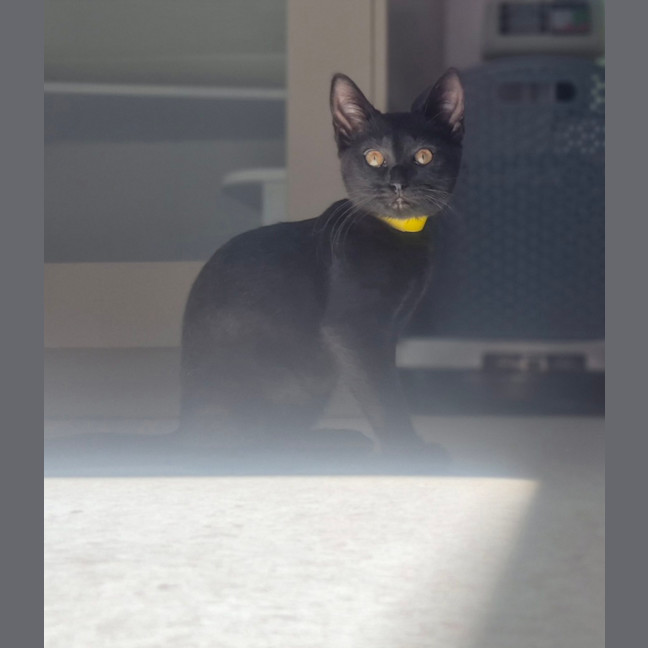 Photo of Francis (9188)