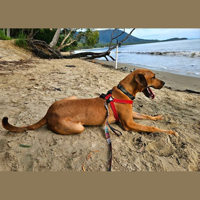 Photo of Chase