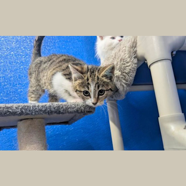 Photo of Sugar