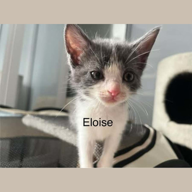 Photo of Eloise