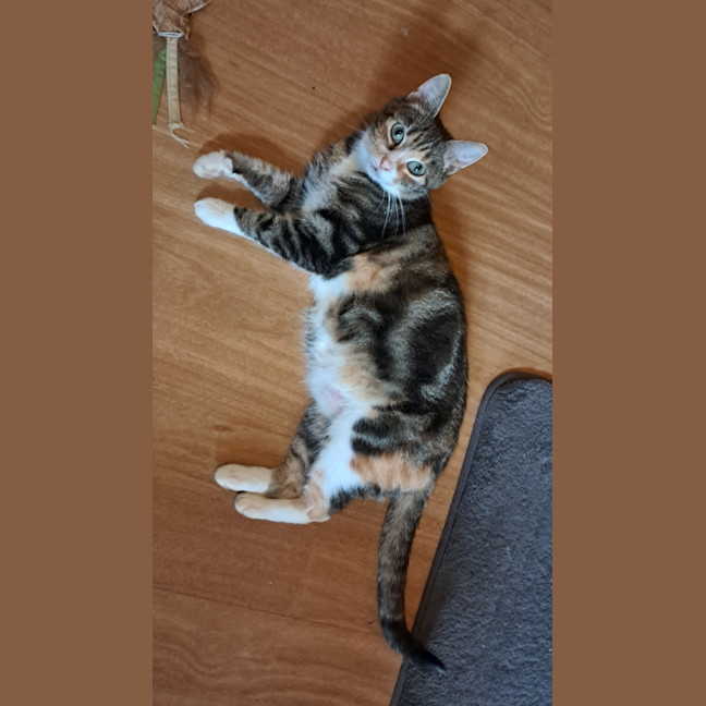 Photo of Jewel