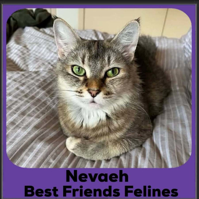 Photo of Nevaeh